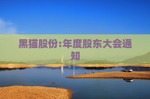 黑猫股份:年度股东大会通知  第1张
