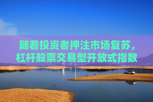 随着投资者押注市场复苏，杠杆股票交易型开放式指数基金（ETF）受到青睐  第1张