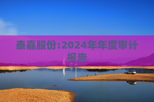 泰嘉股份:2024年年度审计报告