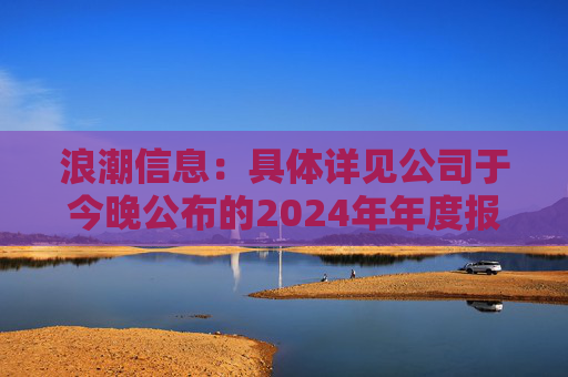 浪潮信息：具体详见公司于今晚公布的2024年年度报告  第1张