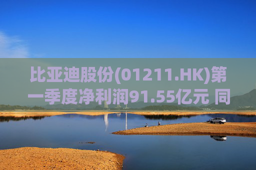 比亚迪股份(01211.HK)第一季度净利润91.55亿元 同比大幅增长100.38%