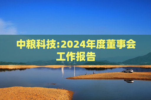 中粮科技:2024年度董事会工作报告