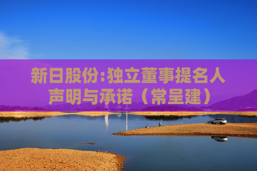 新日股份:独立董事提名人声明与承诺（常呈建）  第1张
