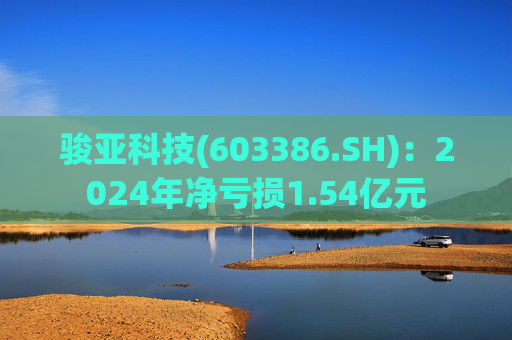 骏亚科技(603386.SH)：2024年净亏损1.54亿元  第1张