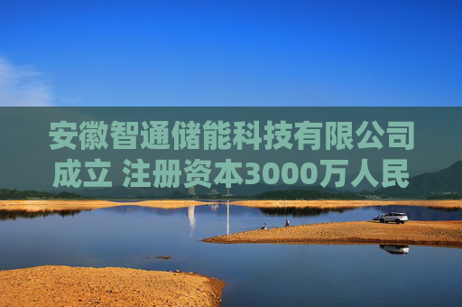 安徽智通储能科技有限公司成立 注册资本3000万人民币  第1张