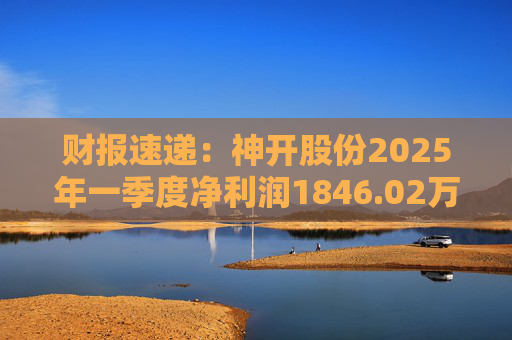 财报速递：神开股份2025年一季度净利润1846.02万元