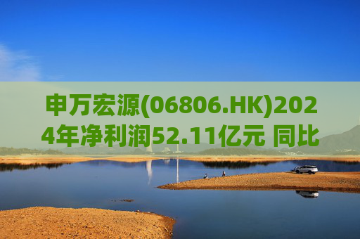 申万宏源(06806.HK)2024年净利润52.11亿元 同比增长13.12%  第1张