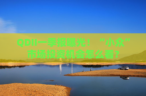 QDII一季报曝光！“小众”市场投资机会怎么看？
