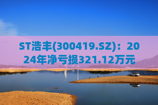 ST浩丰(300419.SZ)：2024年净亏损321.12万元  第1张