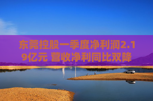 东莞控股一季度净利润2.19亿元 营收净利同比双降  第1张