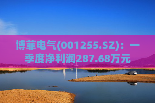 博菲电气(001255.SZ)：一季度净利润287.68万元