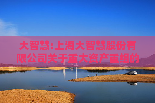大智慧:上海大智慧股份有限公司关于重大资产重组的进展公告  第1张