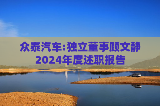 众泰汽车:独立董事顾文静2024年度述职报告