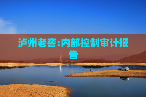 泸州老窖:内部控制审计报告