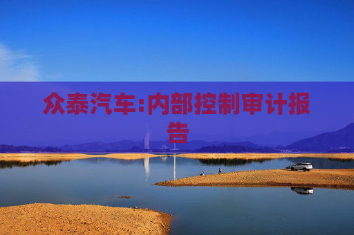 众泰汽车:内部控制审计报告  第1张