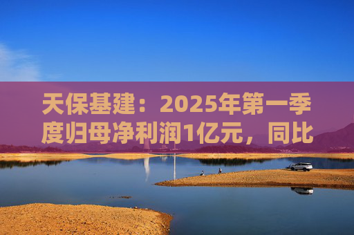 天保基建：2025年第一季度归母净利润1亿元，同比增长737.29%