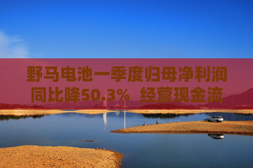 野马电池一季度归母净利润同比降50.3%  经营现金流增524.3%