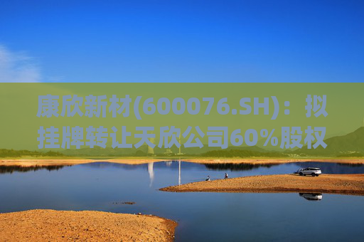 康欣新材(600076.SH)：拟挂牌转让天欣公司60%股权  第1张