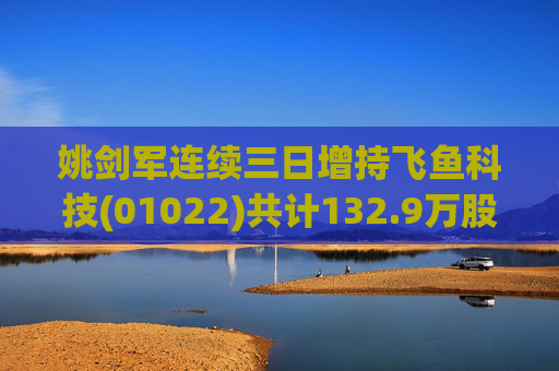 姚剑军连续三日增持飞鱼科技(01022)共计132.9万股 涉资约26.16万港元  第1张