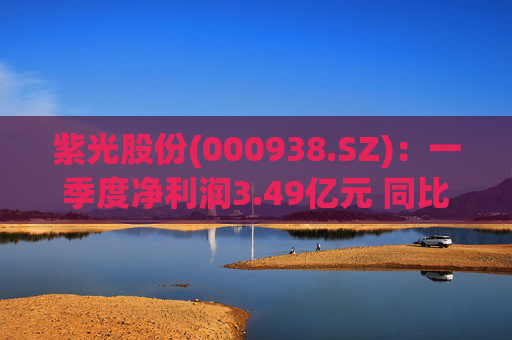 紫光股份(000938.SZ)：一季度净利润3.49亿元 同比下降15.75%