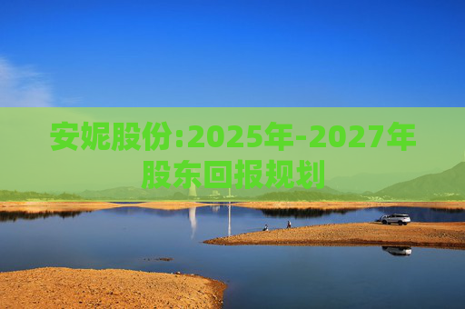 安妮股份:2025年-2027年股东回报规划  第1张