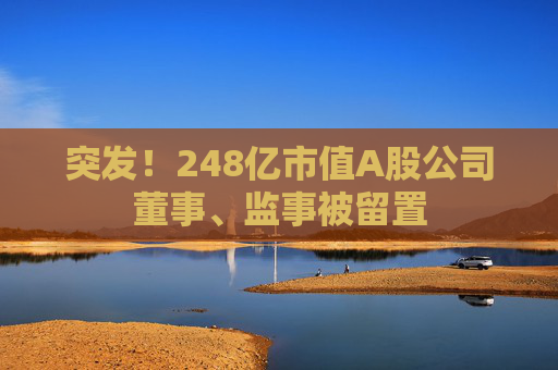 突发！248亿市值A股公司董事、监事被留置  第1张