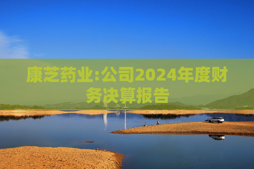 康芝药业:公司2024年度财务决算报告