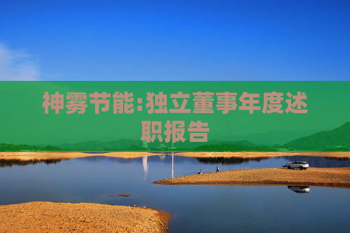 神雾节能:独立董事年度述职报告  第1张