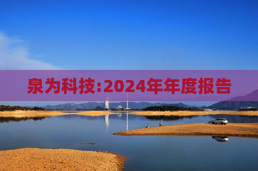 泉为科技:2024年年度报告