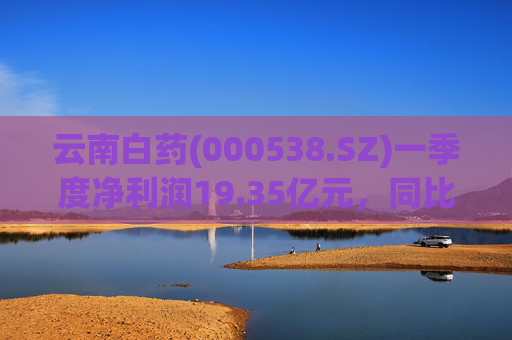 云南白药(000538.SZ)一季度净利润19.35亿元，同比增长13.67%
