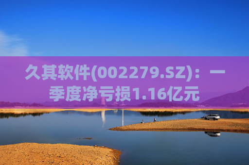 久其软件(002279.SZ)：一季度净亏损1.16亿元  第1张