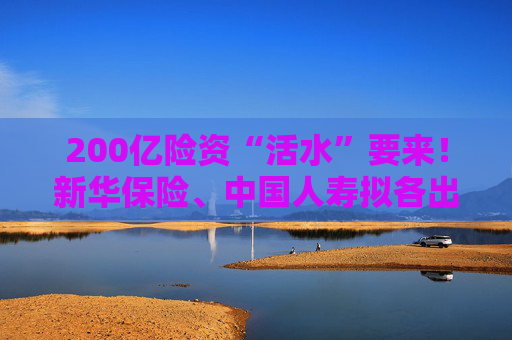 200亿险资“活水”要来！新华保险、中国人寿拟各出资100亿元认购二期鸿鹄基金