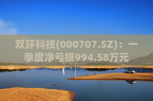 双环科技(000707.SZ)：一季度净亏损994.58万元  第1张