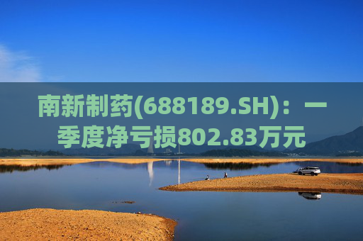 南新制药(688189.SH)：一季度净亏损802.83万元  第1张