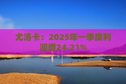 尤洛卡：2025年一季度利润增24.21%