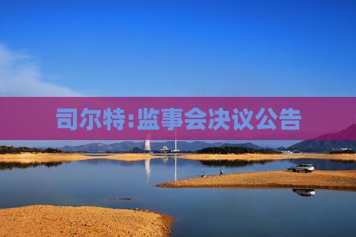 司尔特:监事会决议公告