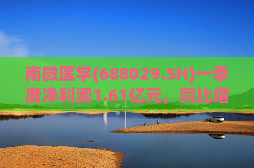 南微医学(688029.SH)一季度净利润1.61亿元，同比增长12.18%  第1张