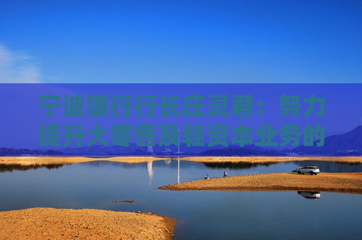 宁波银行行长庄灵君：努力提升大零售及轻资本业务的盈利占比  第1张