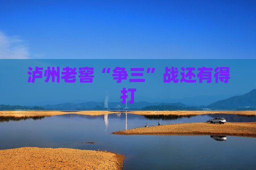 泸州老窖“争三”战还有得打