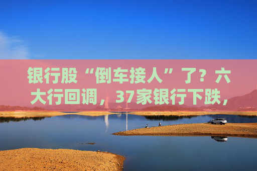 银行股“倒车接人”了？六大行回调，37家银行下跌，基金一季度重仓股减持  第1张