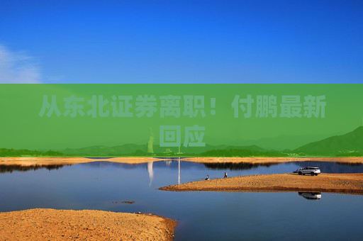 从东北证券离职！付鹏最新回应