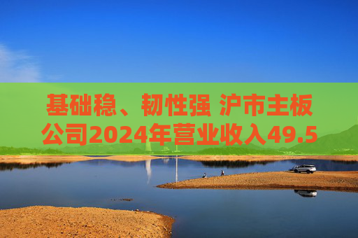 基础稳、韧性强 沪市主板公司2024年营业收入49.57万亿元  第1张