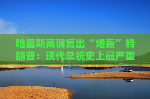 哈里斯高调复出“炮轰”特朗普：现代总统史上最严重的人为经济危机  第1张