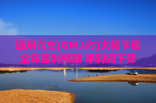 通用汽车(GM.US)大幅下调全年盈利预期 净利润下修至82亿-101亿美元