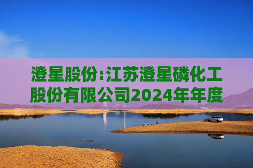 澄星股份:江苏澄星磷化工股份有限公司2024年年度股东大会决议公告