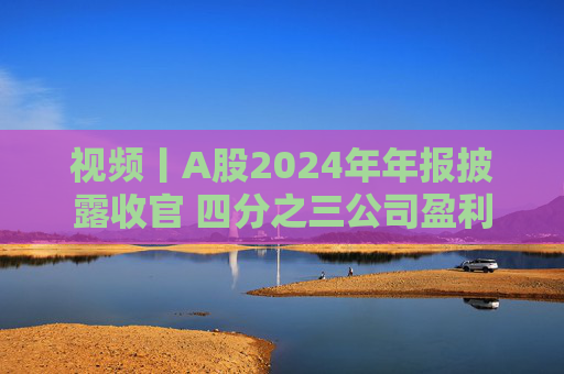 视频丨A股2024年年报披露收官 四分之三公司盈利