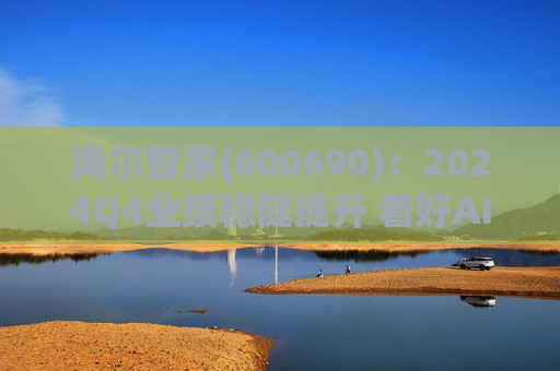 海尔智家(600690)：2024Q4业绩稳健提升 看好AI与新兴市场空间  第1张