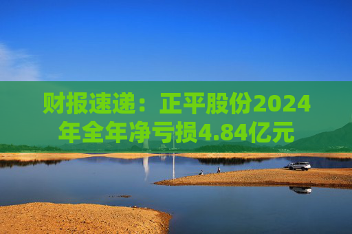 财报速递：正平股份2024年全年净亏损4.84亿元  第1张