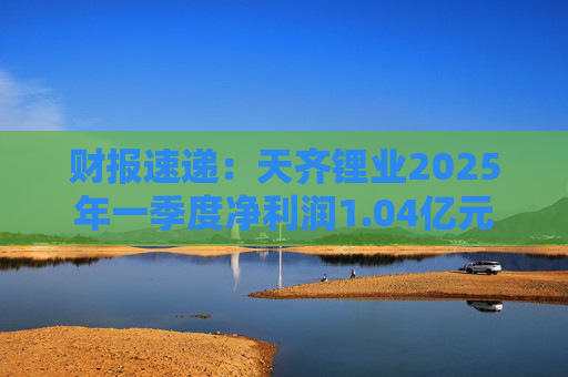 财报速递：天齐锂业2025年一季度净利润1.04亿元