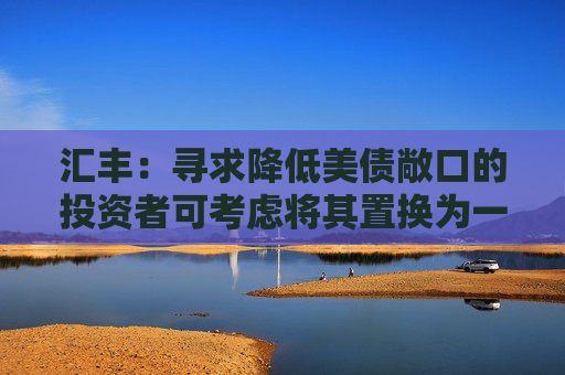 汇丰：寻求降低美债敞口的投资者可考虑将其置换为一篮子债券